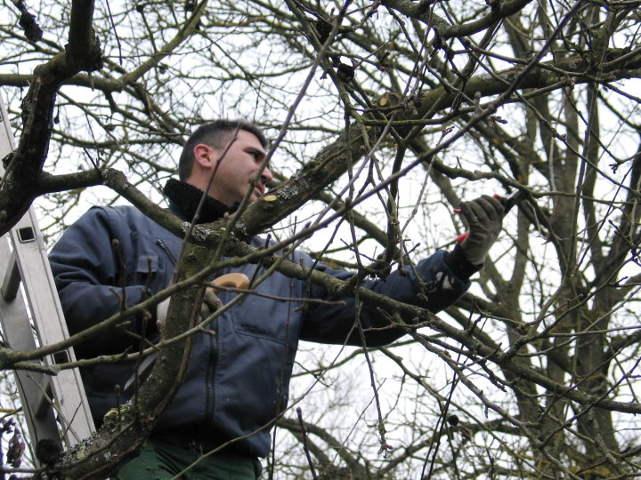 Schnitt in luftiger H�he.