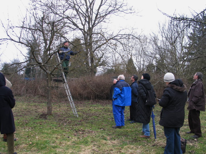 Die Zuschauer verfolgen aufmerksam die einzelnen Schritte