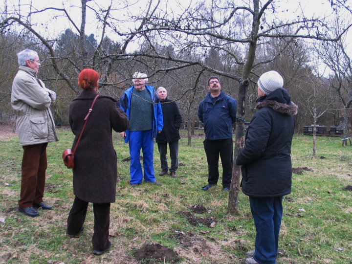 Das Ergebnis wird besprochen.
