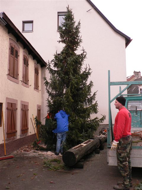 und dort aufgestellt.