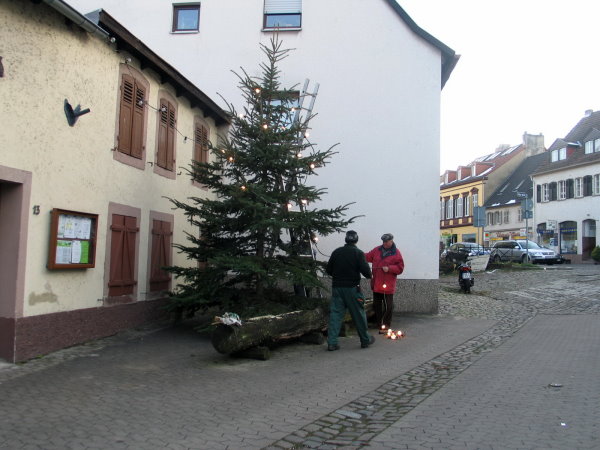 In dieser Zeit stellte die M&auml;nnerarbeitsgruppe den Weihnachtsbaum auf