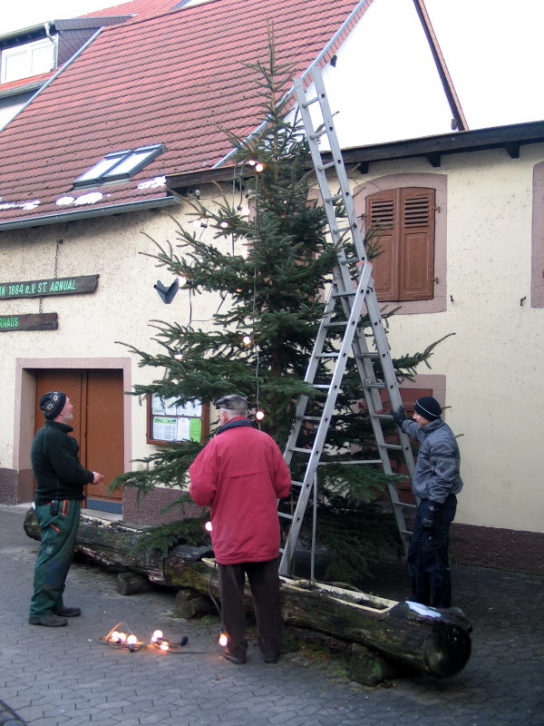 Der Baum wurde mit Gl&uuml;hlampen best&uuml;ckt