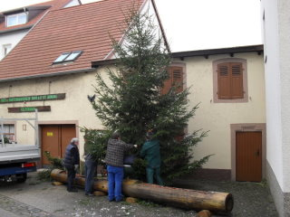 gemeinsam aufgestellt,