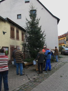 vor dem Kelterhaus aufgestellt