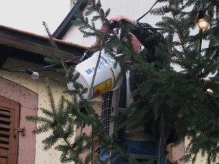 und mit Lichterketten geschm�ckt.