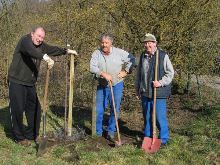 Baumpflanzaktion auf der Obstwiese.