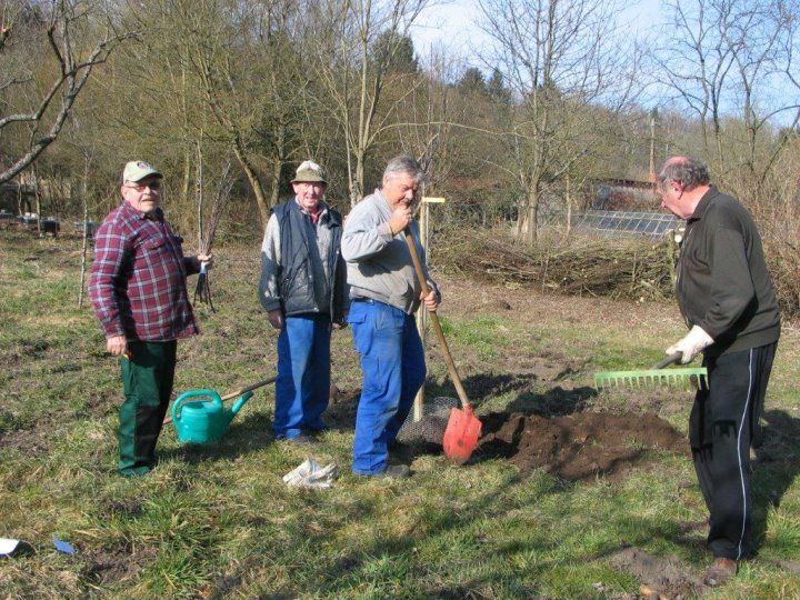Baumpflanzaktion auf der Obstwiese.