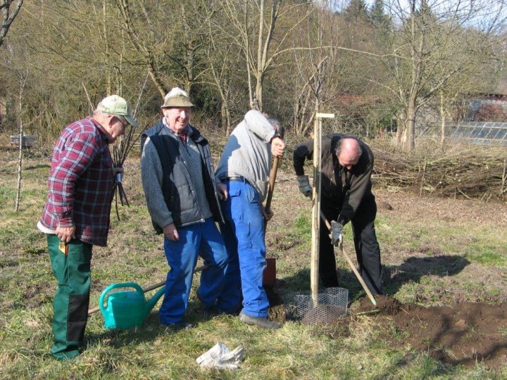 Baumpflanzaktion auf der Obstwiese.