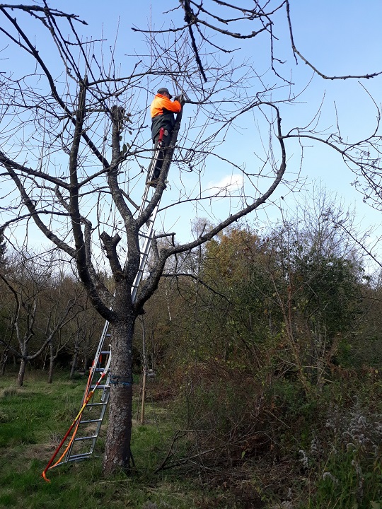 Franco in luftiger H�he.