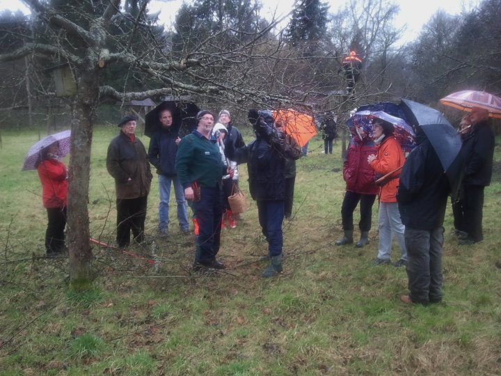 Hans ging auch auf spezielle Fragen der Teilnehmer ein.