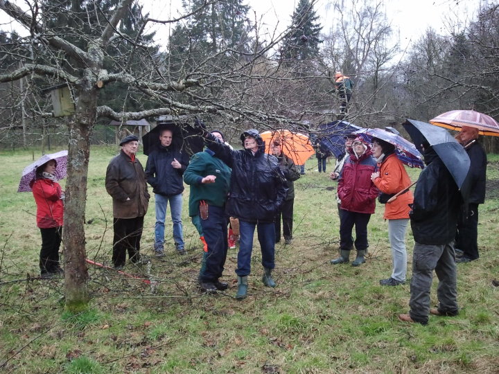 Genaues Nachfragen war angesagt.
