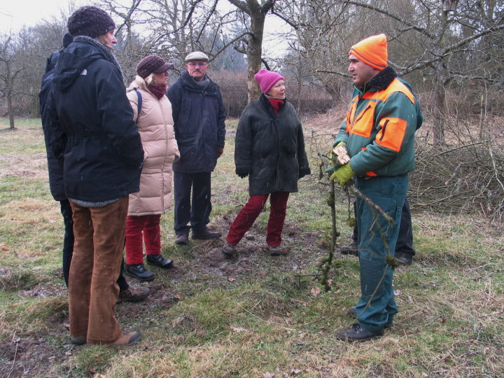 Ein kleiner Kreis von Zuschauern und Zuhörern. Hans Vogeley erklärte die Systematik des Obstbaumschnitts. Krankheiten und deren Bekämpfung werden von Franco erklärt. Werner ging auch auf spezielle Fragen der Teilnehmer ein.