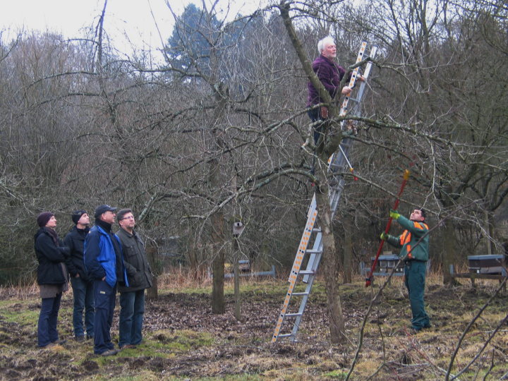 Hans arbeitet in luftiger H�he.
