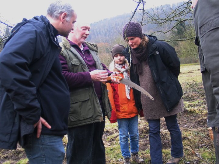 Krankheiten wurden erkl�rt.