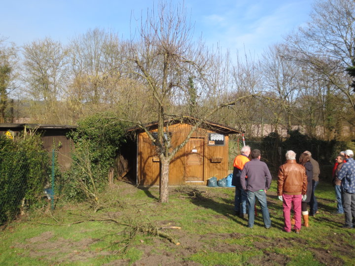 „Schnittkandidat“ 