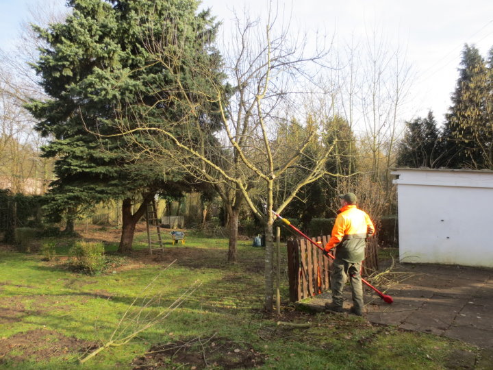 „Schnittkandidat“ 