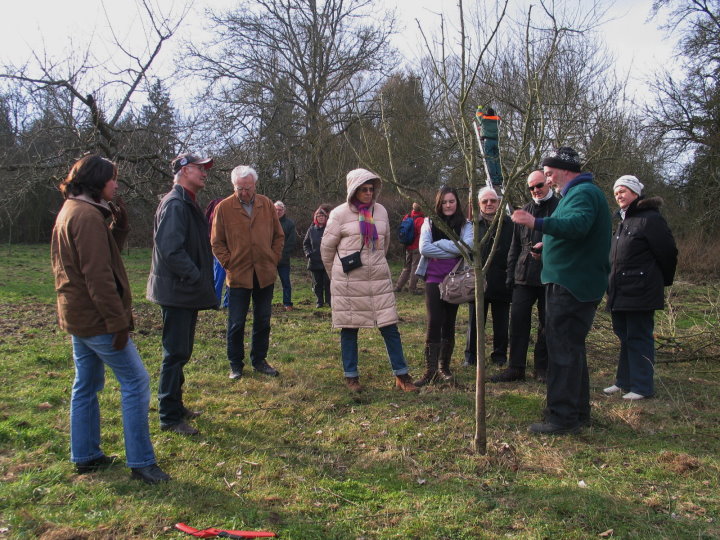 Auf spezielle Fragen der Zuschauer wird eingegangen.