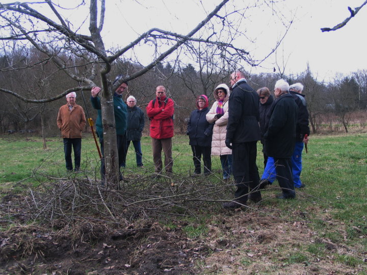 Krankheiten und deren Bek�mpfung werden erkl�rt.