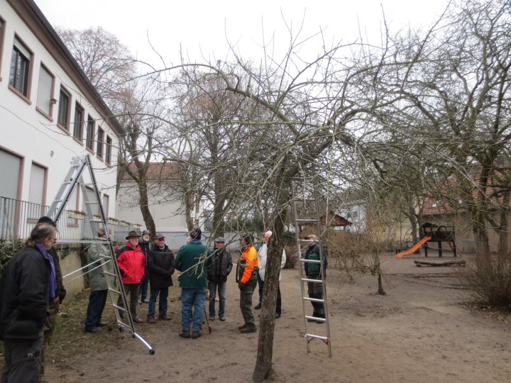 Auf der Wiese hinter dem Oberlin-Kindergarten wurden Werkzeug und Ger�te erkl�rt 