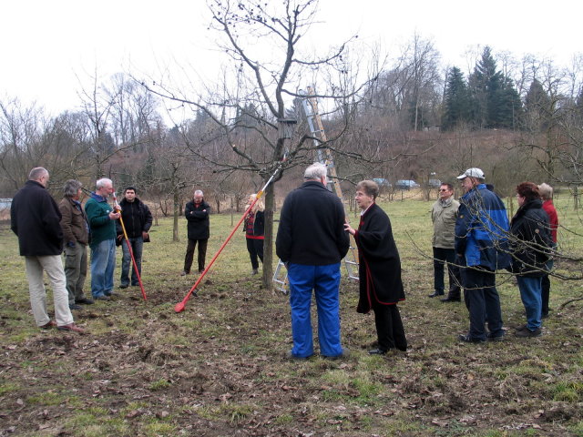 Viele interessierte Zuschauer