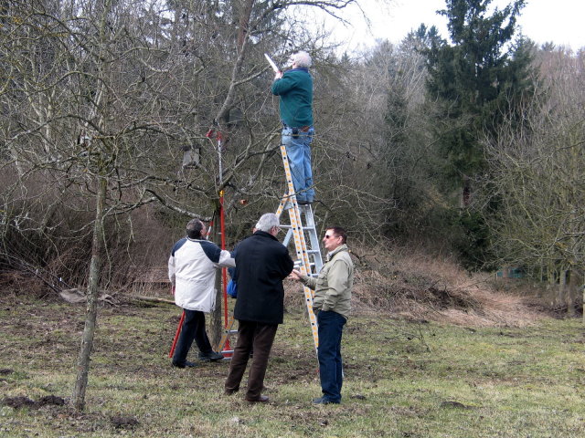 zum Teil in luftiger H&ouml;he