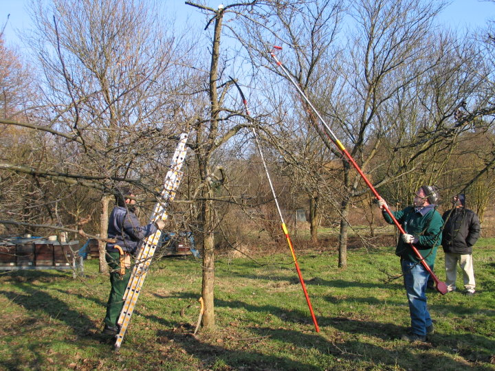 Mit entsprechendem Werkzeug wird vom sicheren Boden geschnitten.