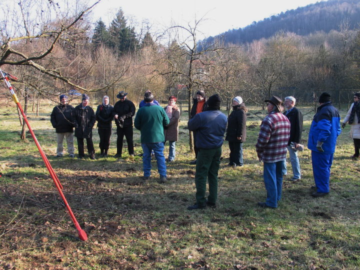 Viele interessierte Zuschauer und Zuh�rer.