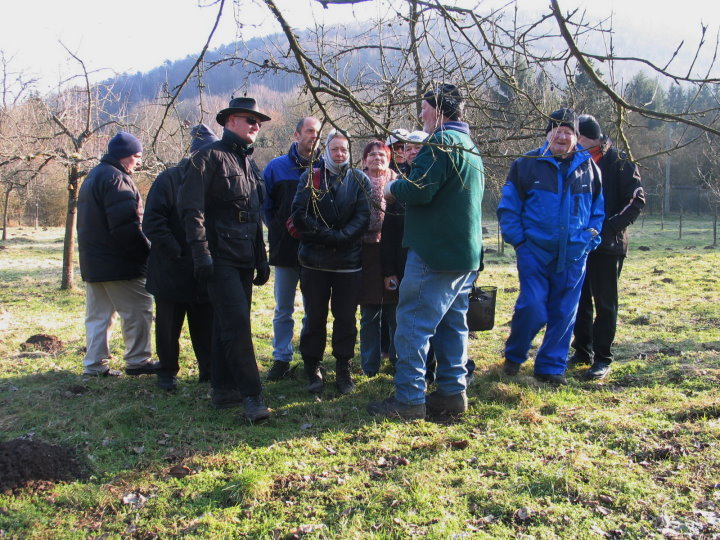 Auf spezielle Fragen der Zuschauer wird eingegangen.