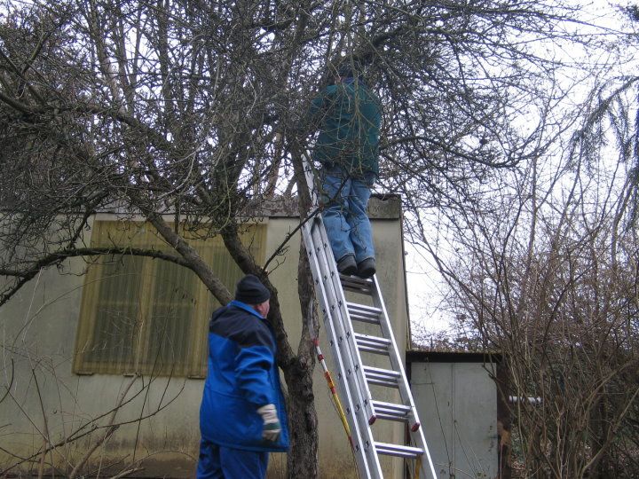 und schreitet zur Tat