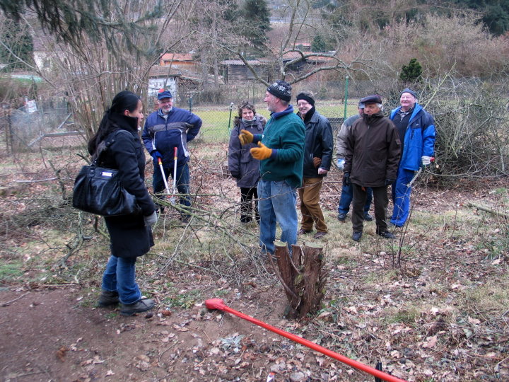 immer wieder gibt es Erl&auml;uterungen