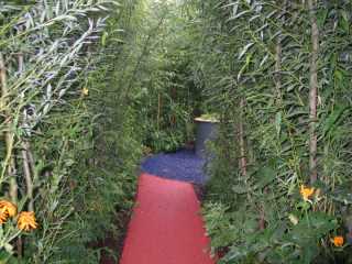 Wiese aus der Sicht einer Ameise