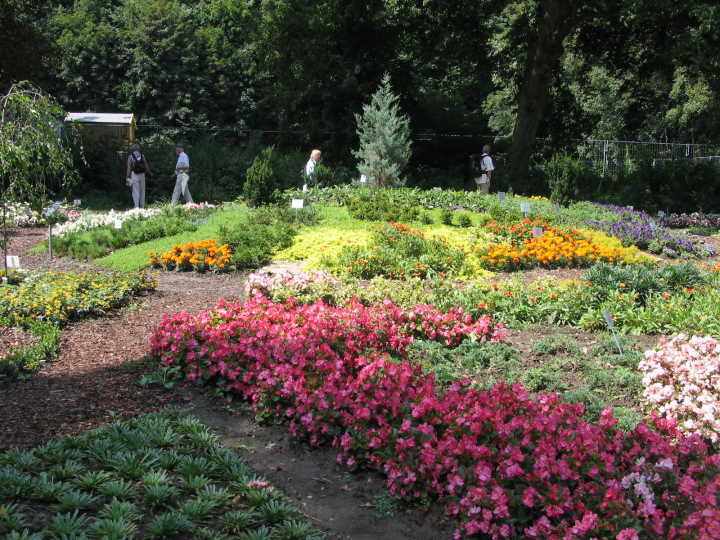 Am dritten Tag unserer Reise besuchten wir die BUGA in Gera