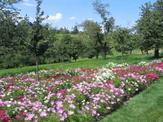 und am Nachmittag die BUGA in Ronneburg.