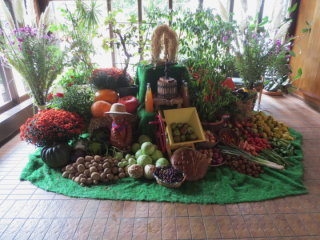 Erntedankdekoration im Albert-Schweitzer-Haus.
