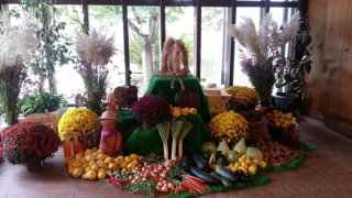 Dekoration im Albert-Schweitzer-Haus