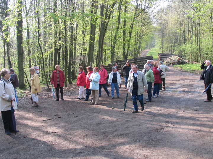 Der Weg f�hrte uns vom Daarler Markt, Ostspange, Eschberg zum Saarbr�cker Stadtwald