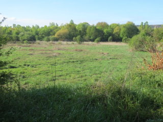 Naturschutzgebiet Daarler Wiesen
