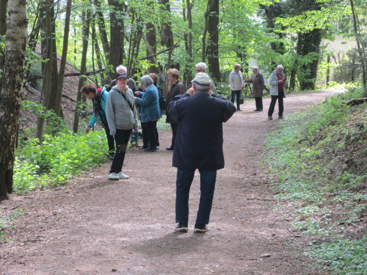 Waldweg am Kaninchenberg