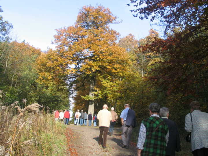 Weiter in Richtung Spichern