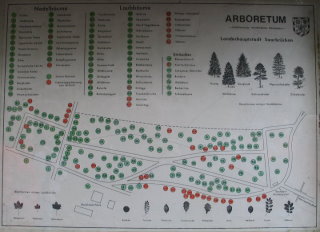 ARBORETUM.