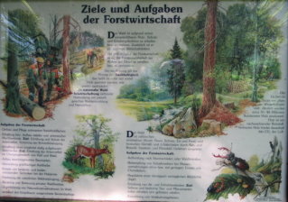 Wir erfuhren �ber die Ziele und Aufgaben der Forstwirtschaft.