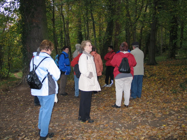 Im herbstlichen Wald gab es viel zu sehen.