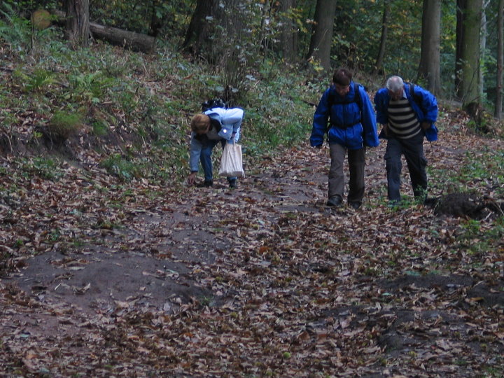 Auch die Kastaniensammler kamen nicht zu kurz.