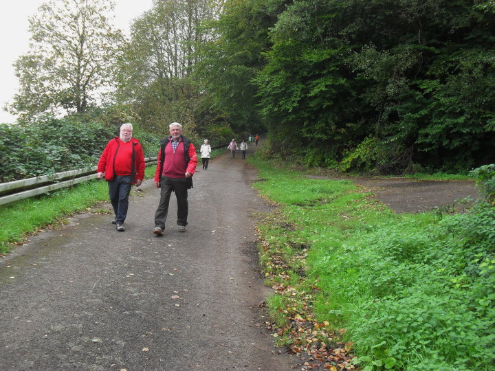 Kurz vor unserem Ziel ging es bergab.