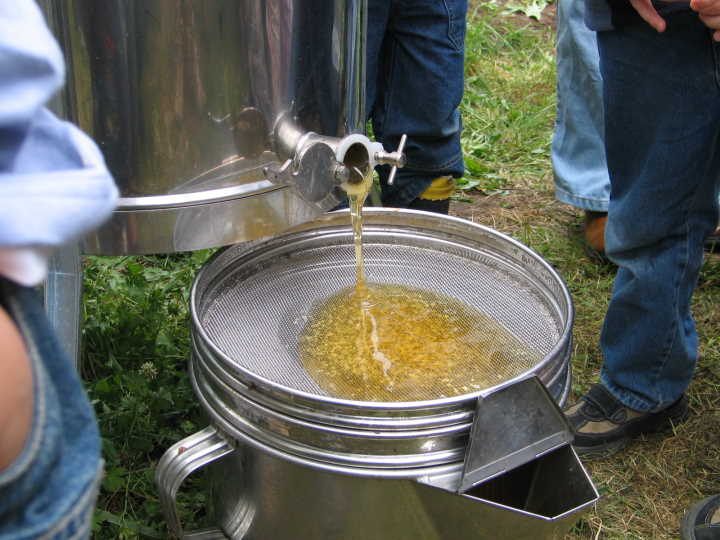 der "goldene Saft" flie�t in den Beh�lter.