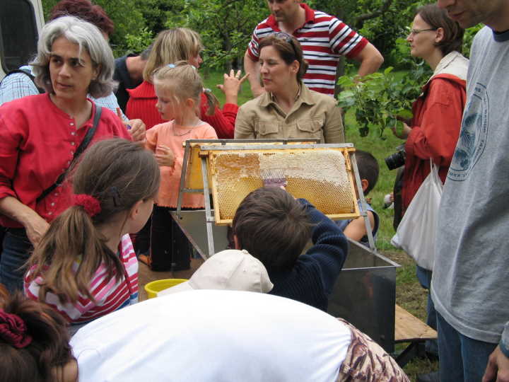 die Wachsschicht wird entfernt