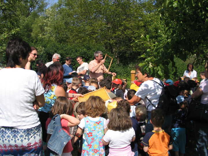 Bei der Vorstellung des Bienenkastens gibt es viele junge Zuh�rer