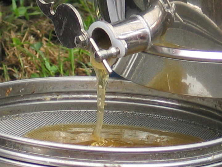 Jetzt fliest der Honig.