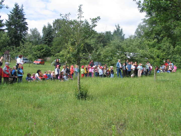 Aus sicherer Entfernung sahen die Kinder ---