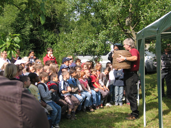 Till erkl�rt den Bienenstock